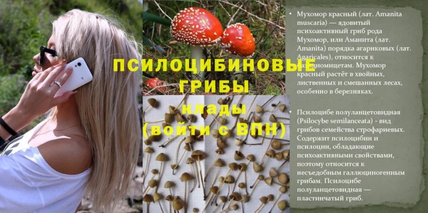 синтетический гашиш Михайловка