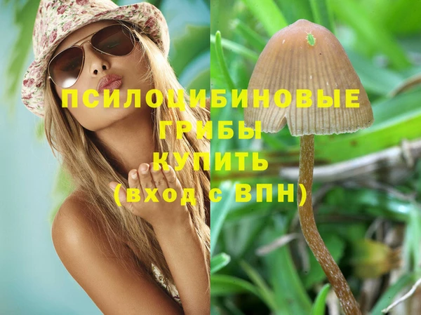 гашик Михайловск