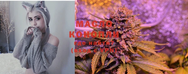 гашик Михайловск