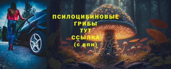 гашик Михайловск