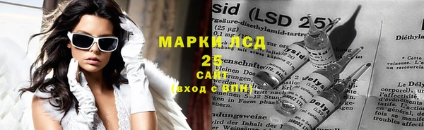 гашик Михайловск