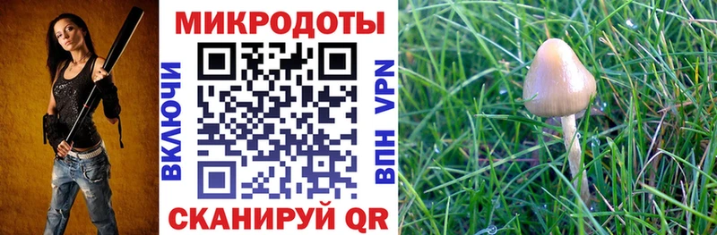 Псилоцибиновые грибы прущие грибы  Артём 